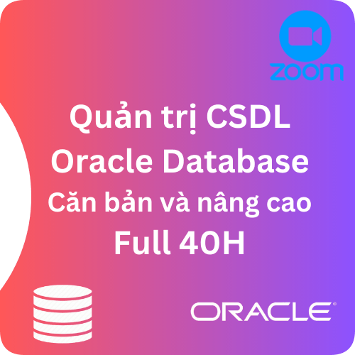 zoom database do tim