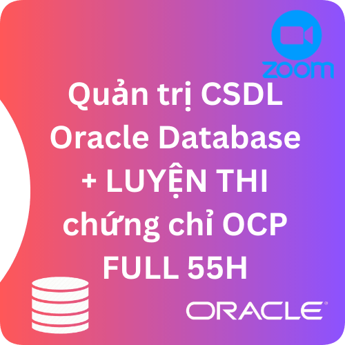 zoom database ocp do tim